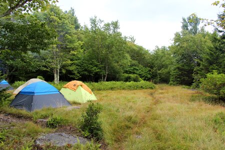 Camping in the Forest