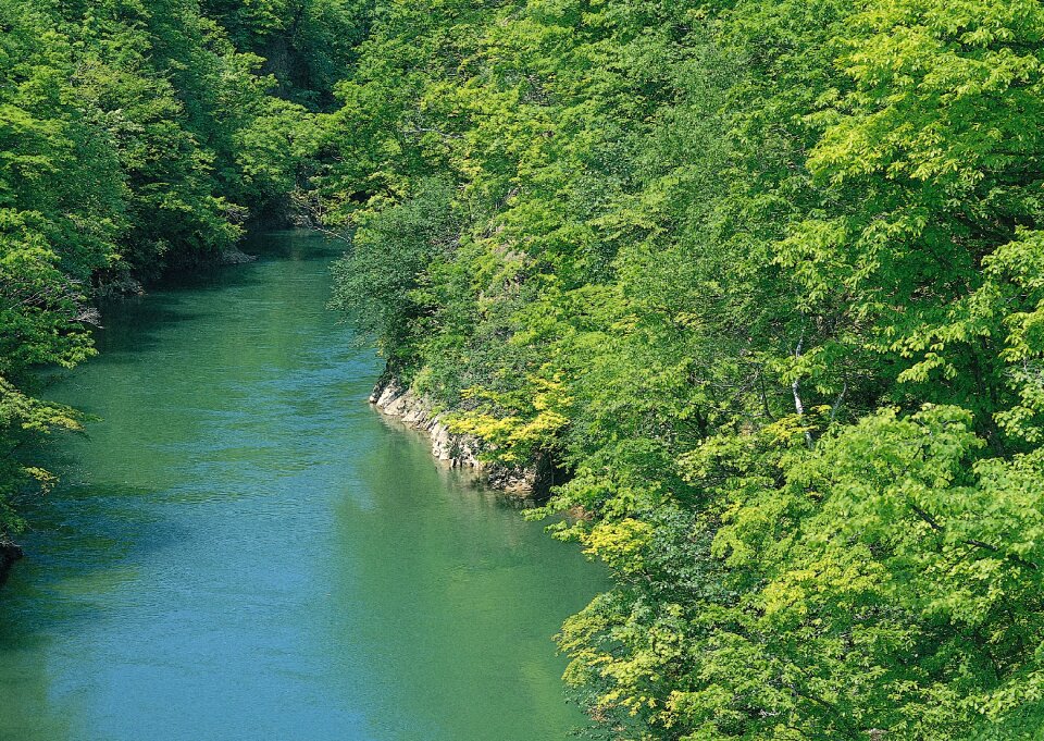 Beautiful view of mountain river in summer,