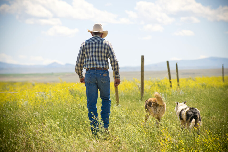 cowboy man and his dog