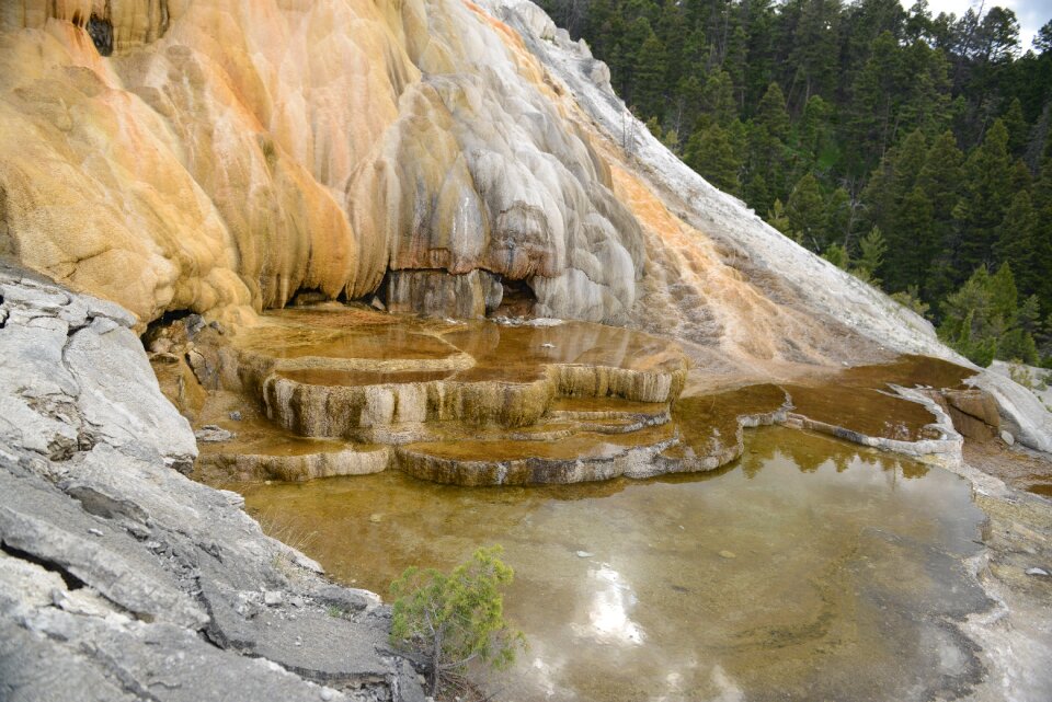 Minerva Terrace, Yellowstone National Park, Wyoming, USA