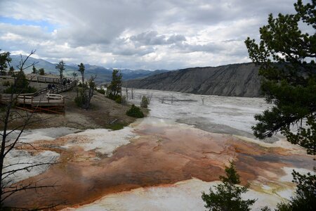 Minerva Terrace, Yellowstone National Park, Wyoming, USA