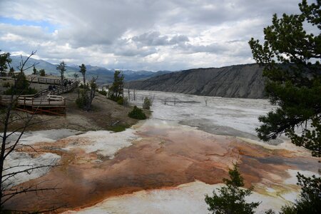 Minerva Terrace, Yellowstone National Park, Wyoming, USA photo