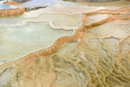 Minerva Terrace, Yellowstone National Park, Wyoming, USA photo