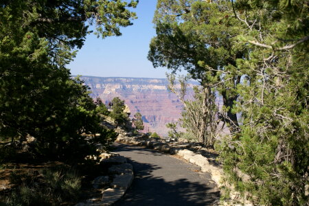 Rim Trail near Maricopa Point, Grand Canyon, Arizona photo