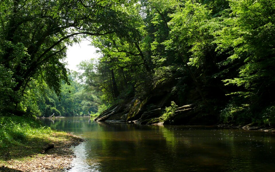 Johns River in Burke County, NC