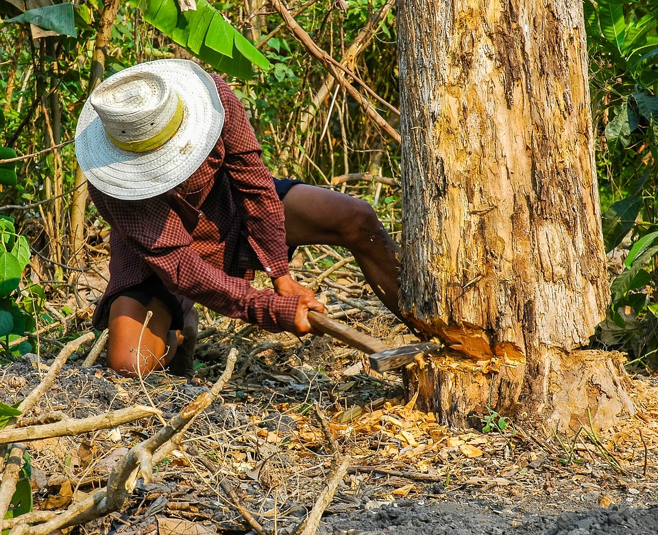 Exhausting work tree