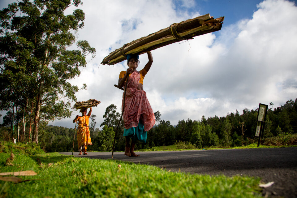 An unidentified farmers carry cultivars for sale
