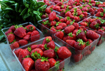 Fresh strawberry at Farmers' Market photo