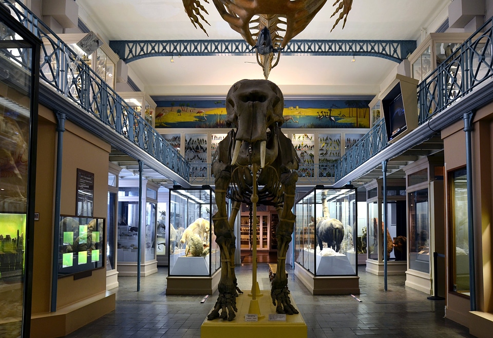 Exhibits indoor building