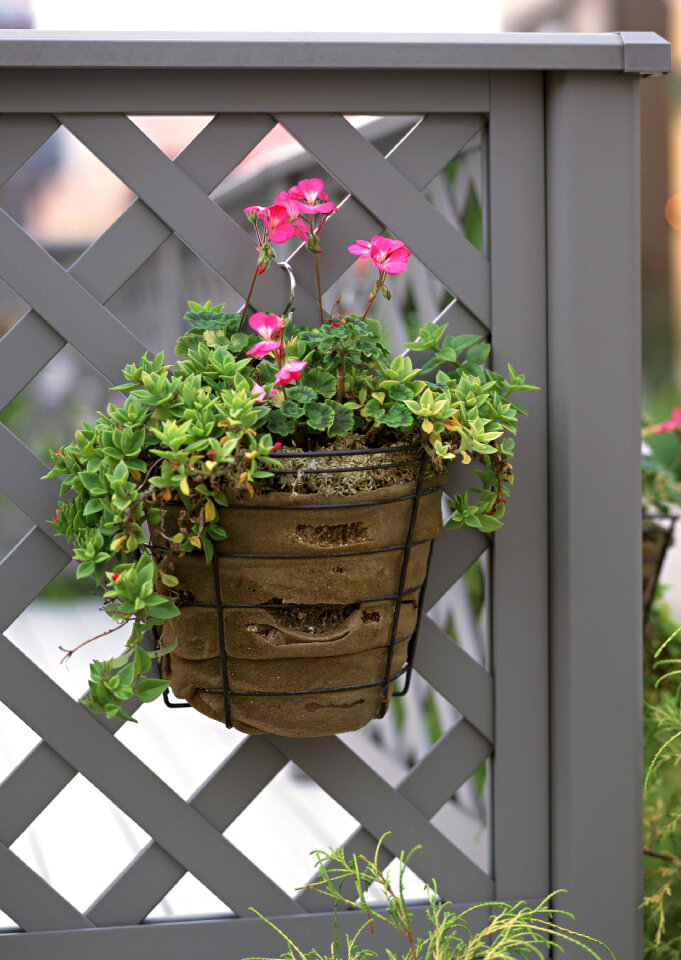 Flower pot decoration on the wooden wall