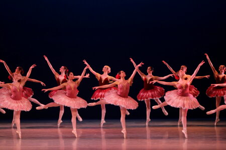 unrecognizable ballet dancers photo