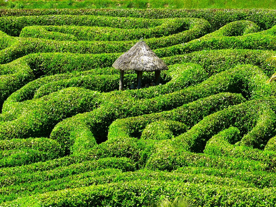 Garden cornwall south gland