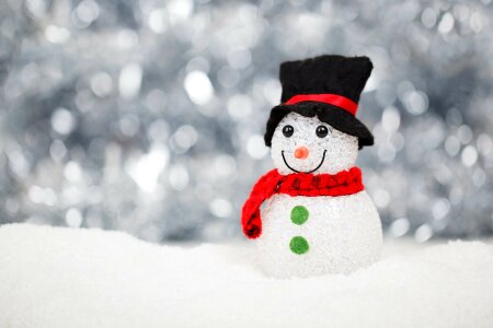 Snowman on a background the winter forest photo