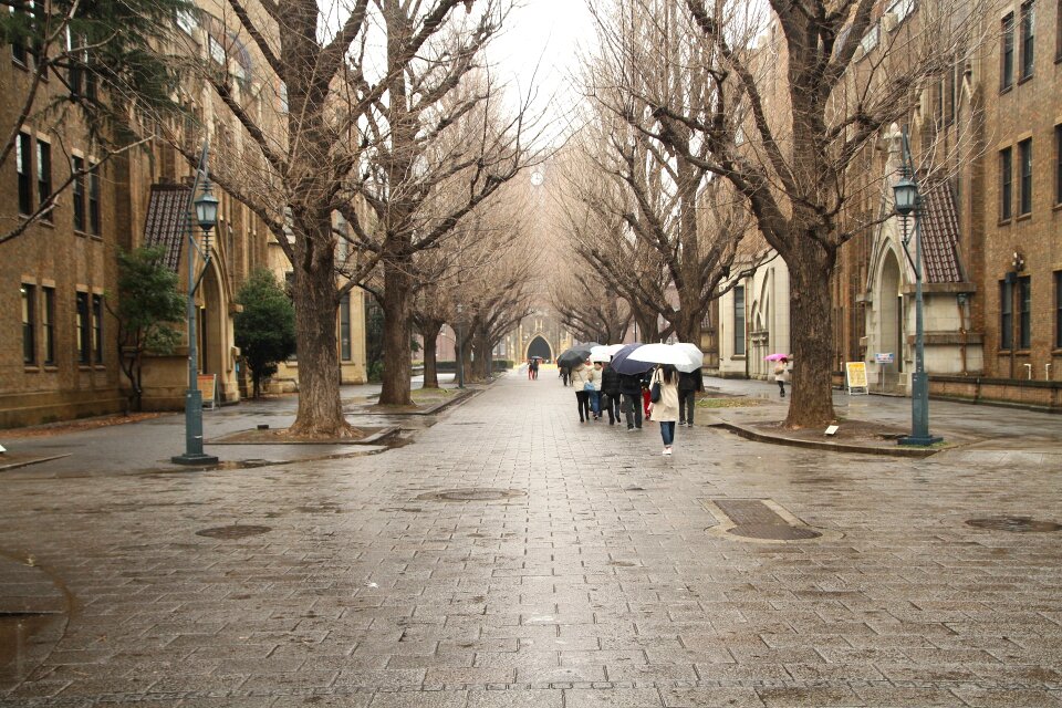 The University of Tokyo in Bunkyo, Tokyo, Japan