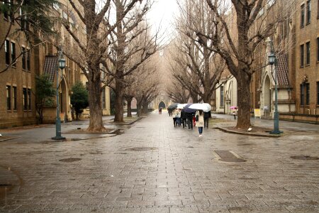 The University of Tokyo in Bunkyo, Tokyo, Japan