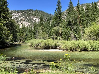 Sequoia national park California, USA