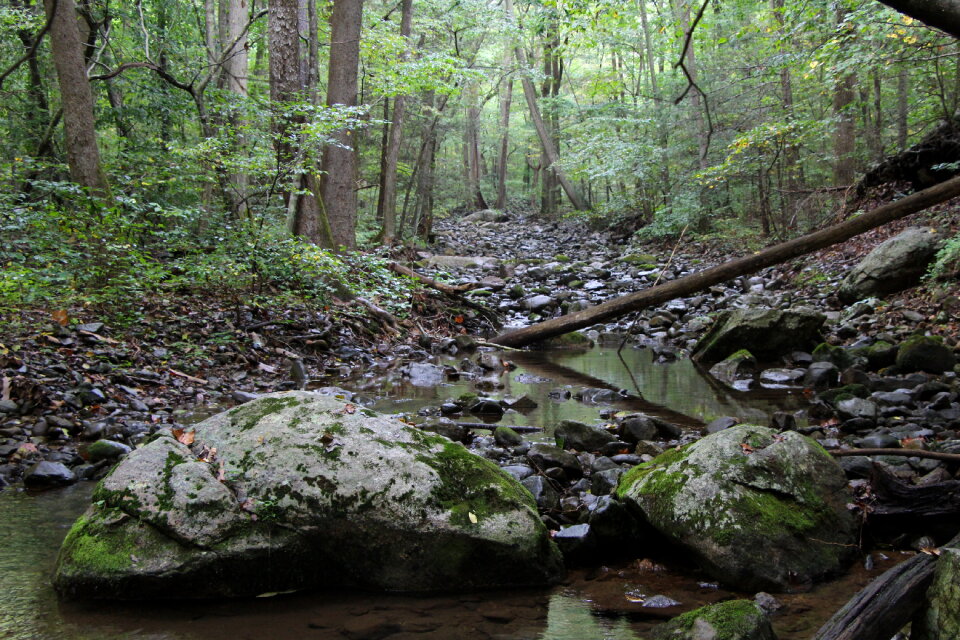 Piney BR trail Shenandoah Park