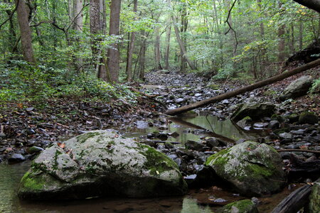 Piney BR trail Shenandoah Park