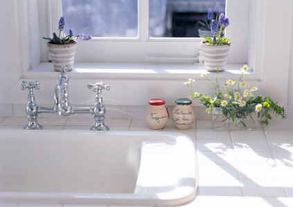 plants on window sill in domestic kitchen photo
