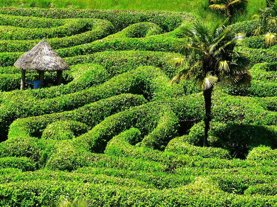 Garden cornwall south gland