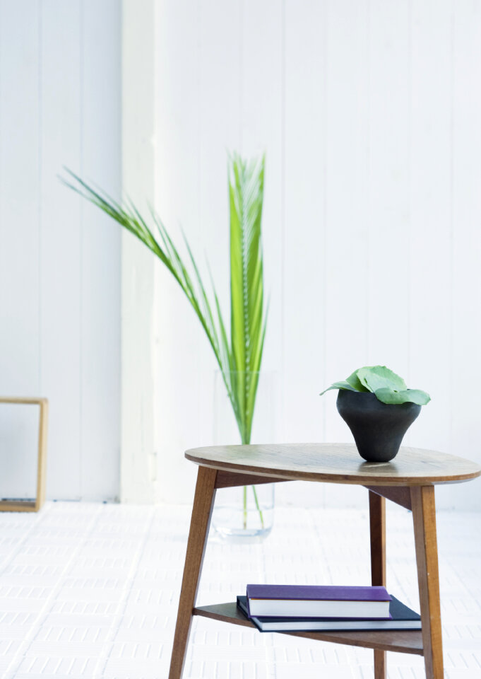 Room with table, decorated with plants.