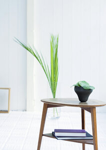 Room with table, decorated with plants. photo