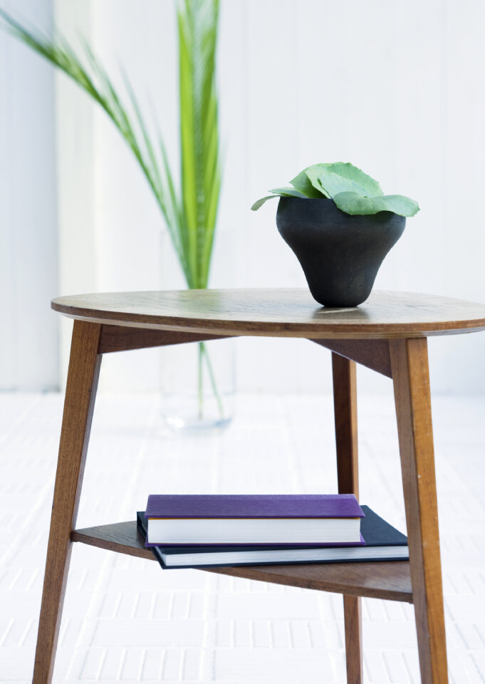 Room with wooden table, decorated with plants.