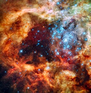 Space Panoramic Portrait of a Vast Star-Forming Region photo