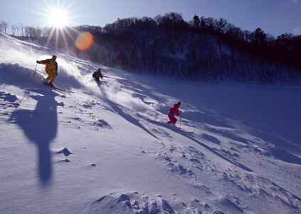 Ski, winter, snow, skiers, sun and fun photo