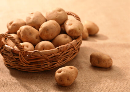 Golden Potatoes in a Basket