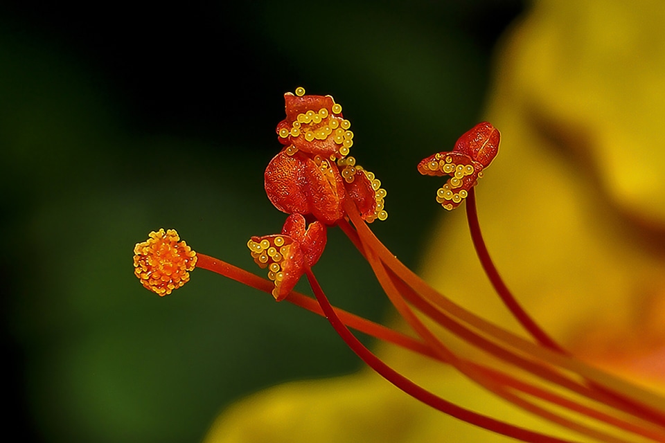 Lowercase beautiful nature