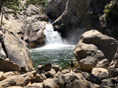 Sequoia national park California, USA photo