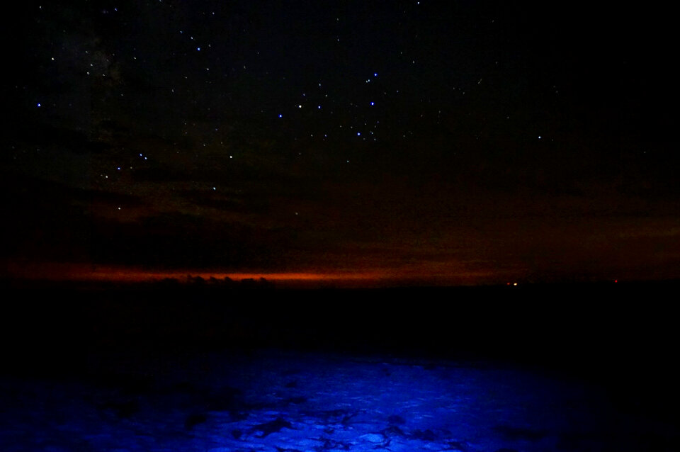 Star in the Night Sky