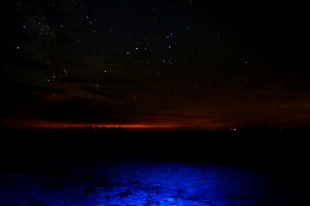 Star in the Night Sky