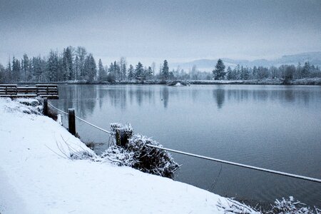 Trees reflected over Cheadle Lake mill pond, Lebanon, Oregon
