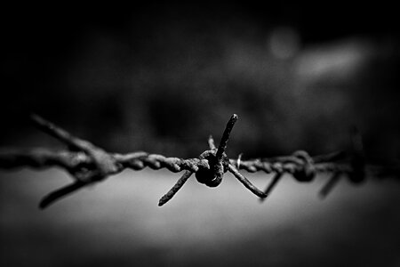 Barbed wire seamless