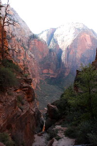 Path to Angels Landing in Zion national park photo