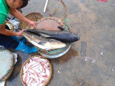 fish market at Haikou New Port, Haikou, Hainan, China photo