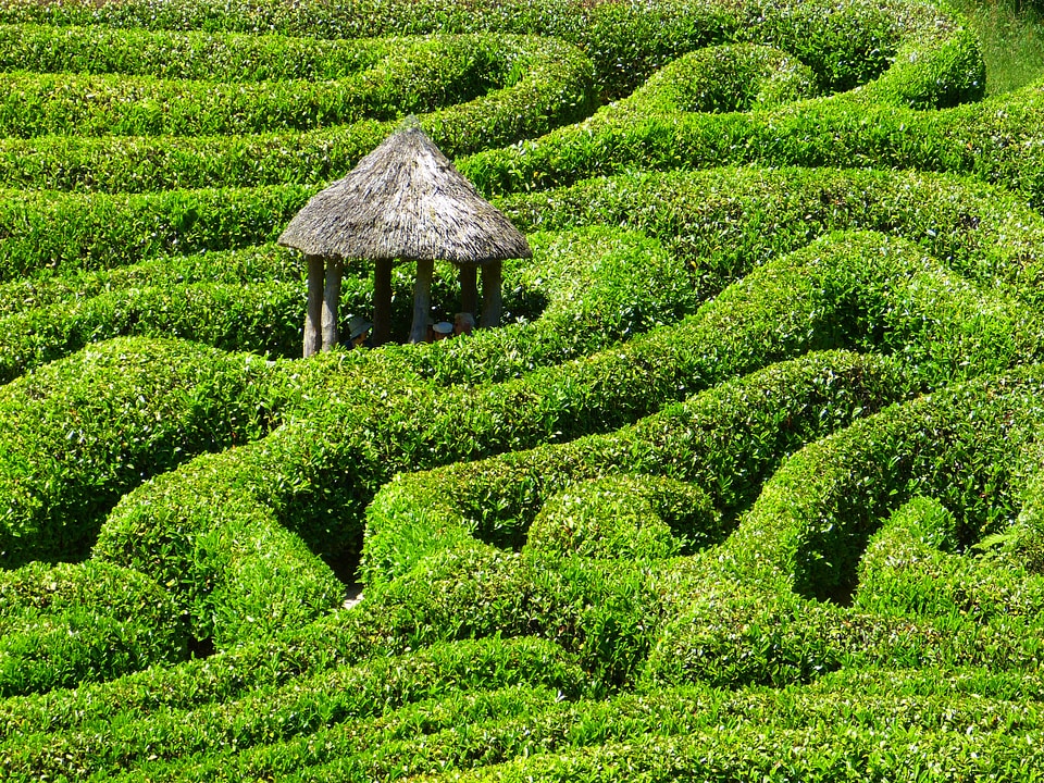 Garden cornwall south gland