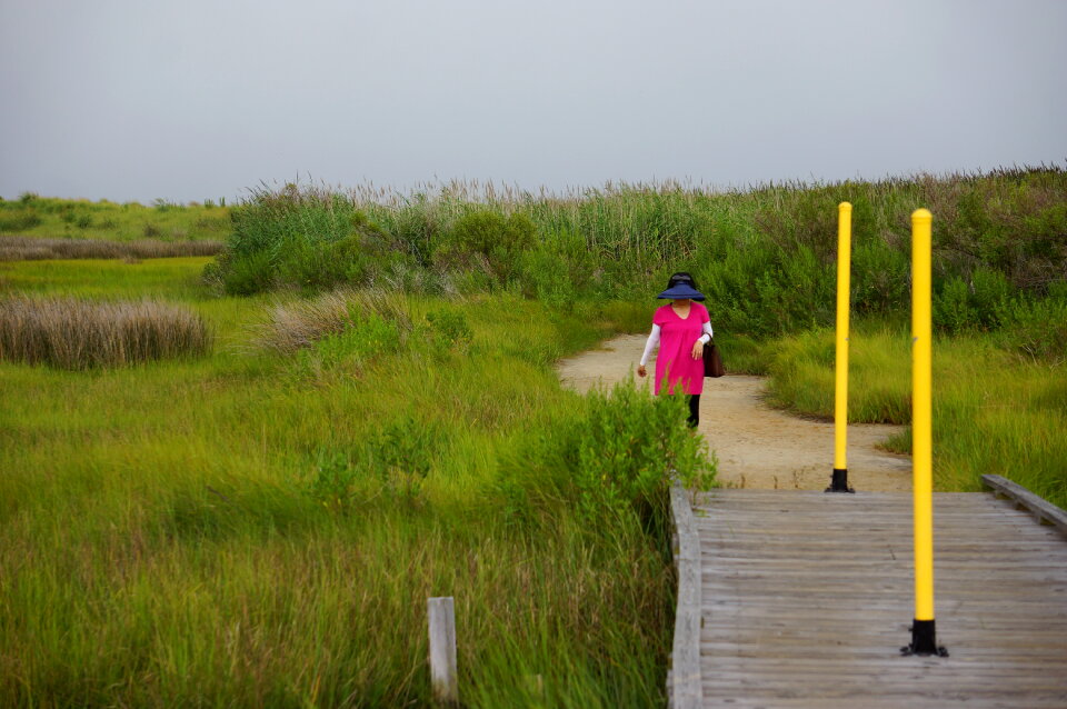 Tangier Island, Virginia