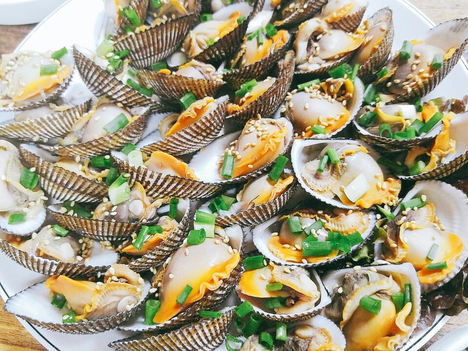 Blood cockle shell seafood