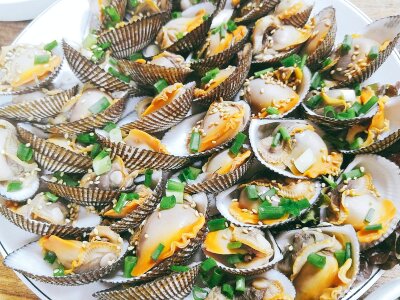 Blood cockle shell seafood