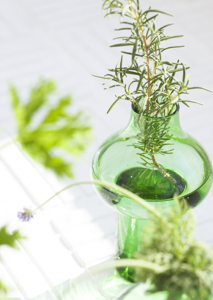 Fresh rosemary bound, and rosemary sprigs in a glass,