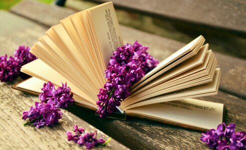 Vintage books with bouquet of flowers photo