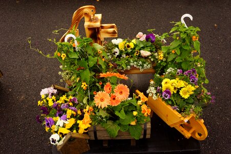 Wildflowers