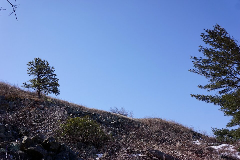 Blue Sky Shenandoah,Park
