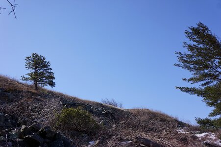 Blue Sky Shenandoah,Park