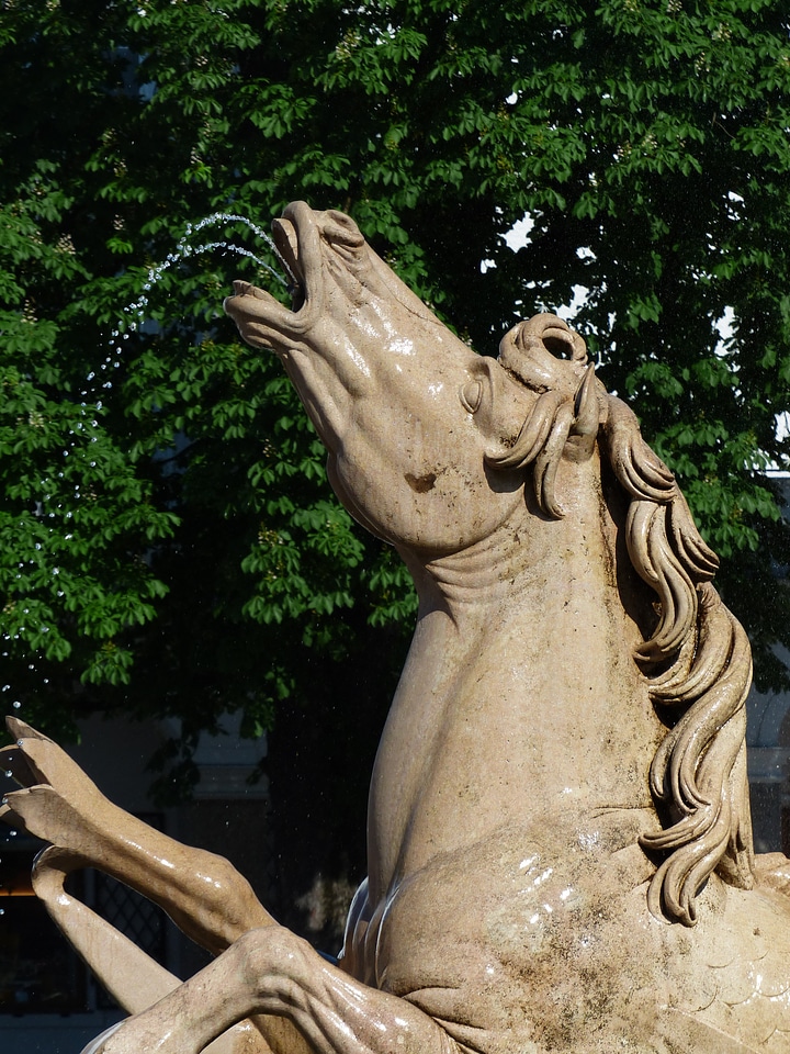 Ross horse water feature