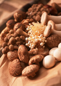 Close up of an assortment of mushrooms photo