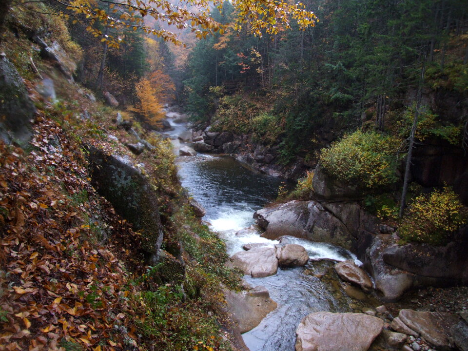 White Mountains Fall Foliage